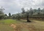 Xalet independent amb terreny en venda a la España, Vall-de-roures, ref.: TR399715 foto