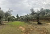 Xalet independent amb terreny en venda a la España, Vall-de-roures, ref.: TR399715 foto