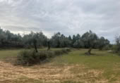 Xalet independent amb terreny en venda a la España, Vall-de-roures, ref.: TR399715 foto