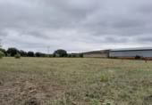 Parcela urbanizable en venta en la España, Botija, ref: TR396911 foto