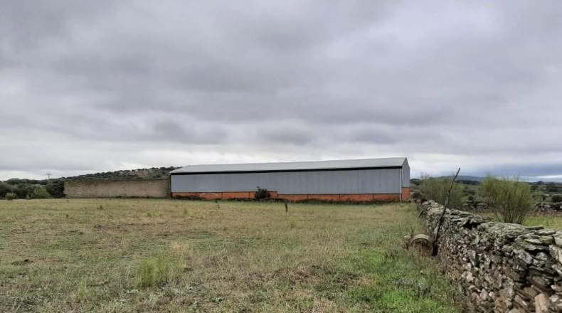 Guadalajara - Corduente - 5407m2