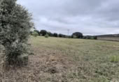 Parcela urbanizable en venta en la España, Botija, ref: TR396911 foto