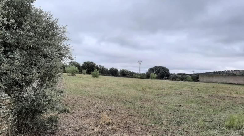 Guadalajara - Corduente - 5407m2