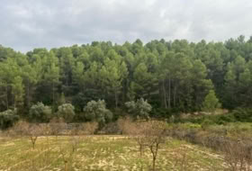 Arens de Lledó 6885&nbsp;м²