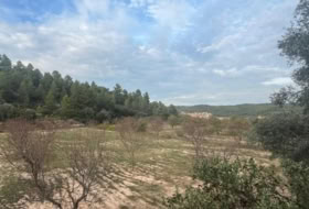 Arens de Lledó 6885&nbsp;м²