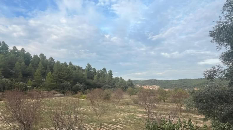 Teruel - Arens de Lledó - 6885m2