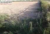 Terreny no urbanitzable en venda a la España, Catral, ref.: TR397861 foto