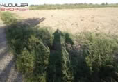 Terreny no urbanitzable en venda a la España, Catral, ref.: TR397861 foto
