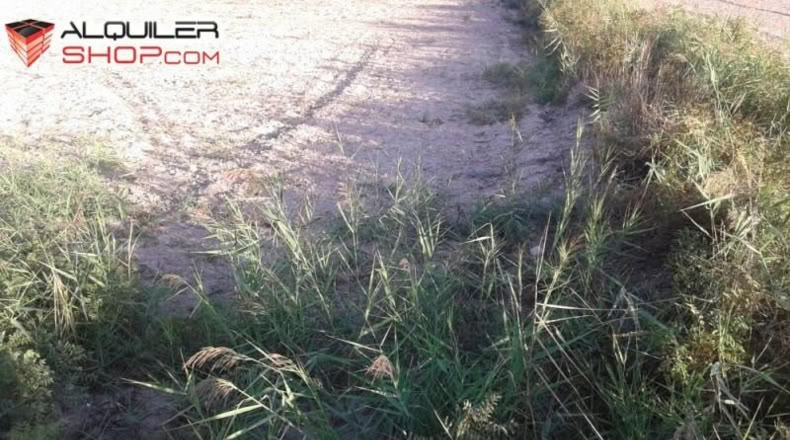 Córdoba - Cabra - 7110m2
