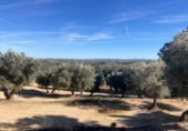 Xalet independent amb terreny en venda a la España, Calaceit, ref.: TR399024 foto
