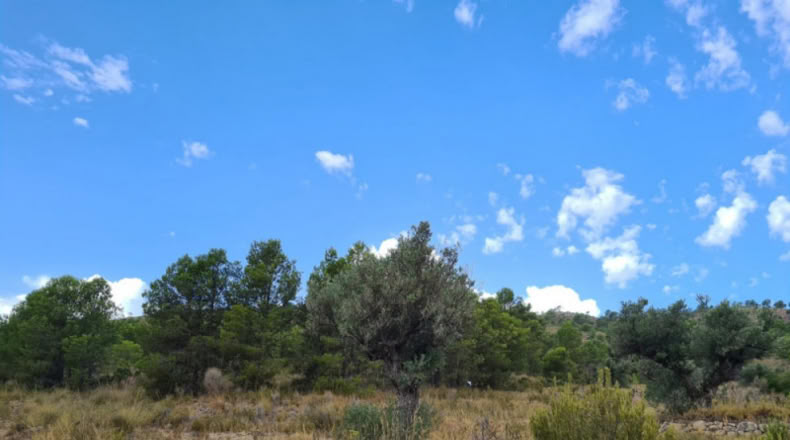 Huelva - Punta Umbría - 13718m2