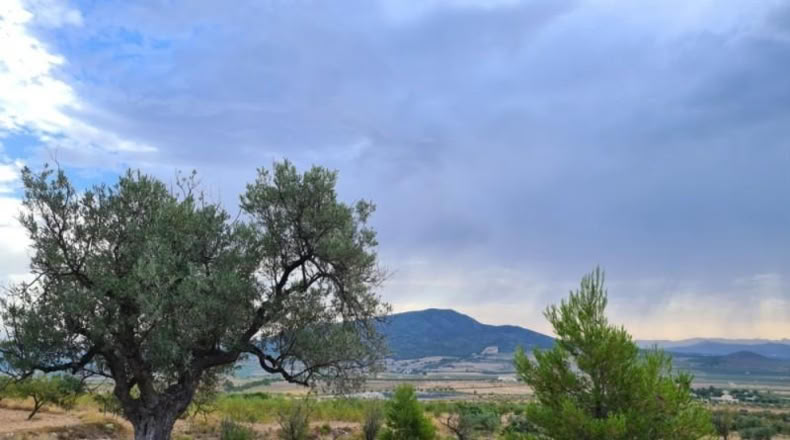 Huelva - Punta Umbría - 13718m2