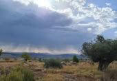 Non-developable land for sale on España, Pinoso, ref: TR397147 photo