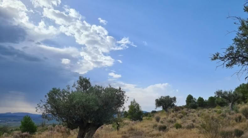 Huelva - Punta Umbría - 13718m2