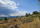 Non-developable land for sale on España, Pinoso, ref: TR397147 photo