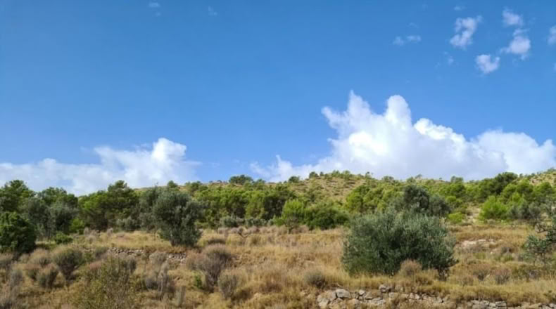 Huelva - Punta Umbría - 13718m2