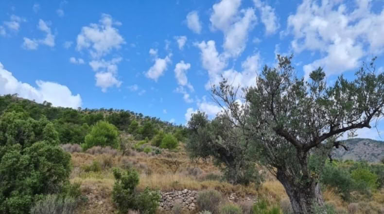 Huelva - Punta Umbría - 13718m2