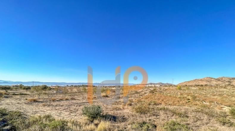 Almeria - Huércal-Overa - 8000m2