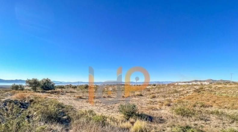 Almeria - Huércal-Overa - 8000m2