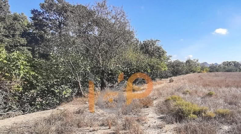 Almeria - Chirivel - 10882m2