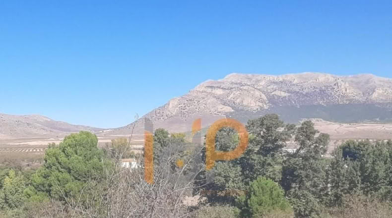 Almeria - Chirivel - 10882m2