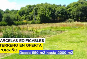 Porriño 800&nbsp;m²