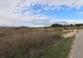Non-developable land for sale on España, Sax, ref: TR397117 photo