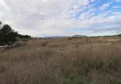 Non-developable land for sale on España, Sax, ref: TR397117 photo