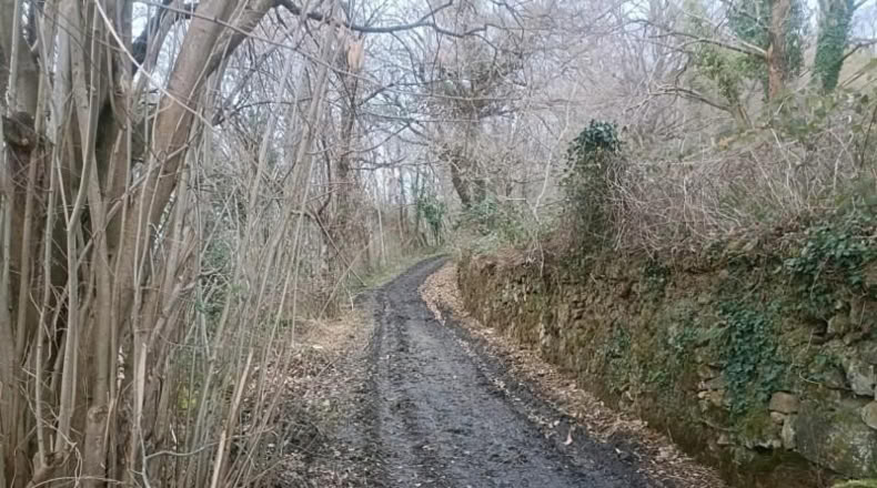Asturias - San Martín - 106m2