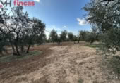 Terreno no urbanizable en venta en la España, Sevilla, ref: TR395121 foto