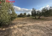 Terreno no urbanizable en venta en la España, Sevilla, ref: TR395121 foto