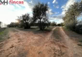 Terreno no urbanizable en venta en la España, Sevilla, ref: TR395121 foto