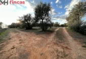 Terreno no urbanizable en venta en la España, Sevilla, ref: TR395121 foto