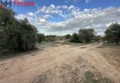 Terreno no urbanizable en venta en la España, Sevilla, ref: TR395121 foto