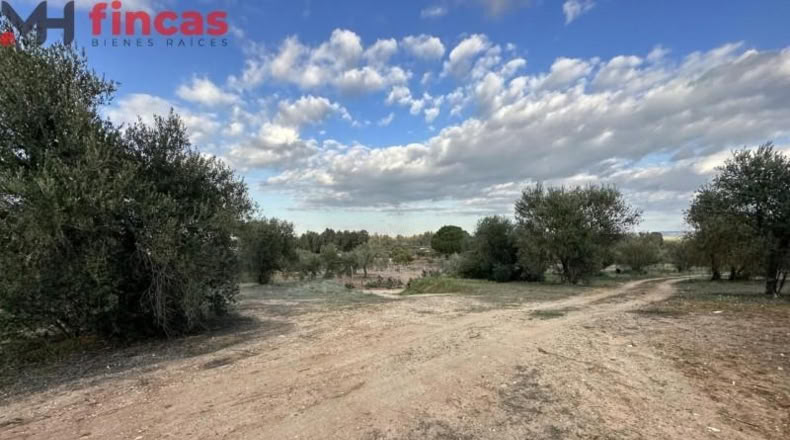 Хаэн - Andújar - 3600m2