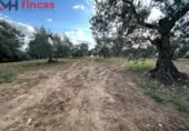 Terreno no urbanizable en venta en la España, Sevilla, ref: TR395121 foto