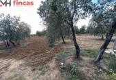 Terreno no urbanizable en venta en la España, Sevilla, ref: TR395121 foto