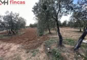 Terreno no urbanizable en venta en la España, Sevilla, ref: TR395121 foto