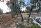 Terreno no urbanizable en venta en la España, Sevilla, ref: TR395121 foto