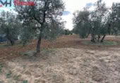 Terreno no urbanizable en venta en la España, Sevilla, ref: TR395121 foto