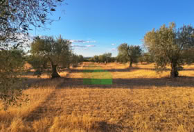Montijo 12812&nbsp;m² 