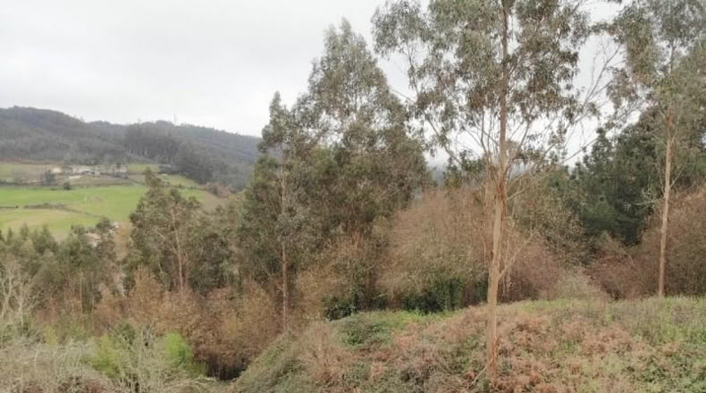 Valencia - Buñol - 4300m2
