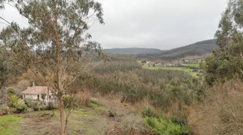 Valencia - Buñol - 4300m2