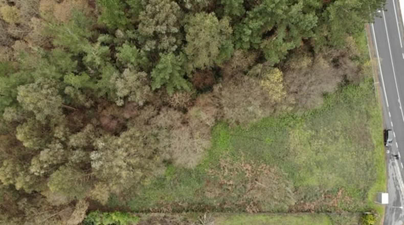 Valencia - Buñol - 4300m2