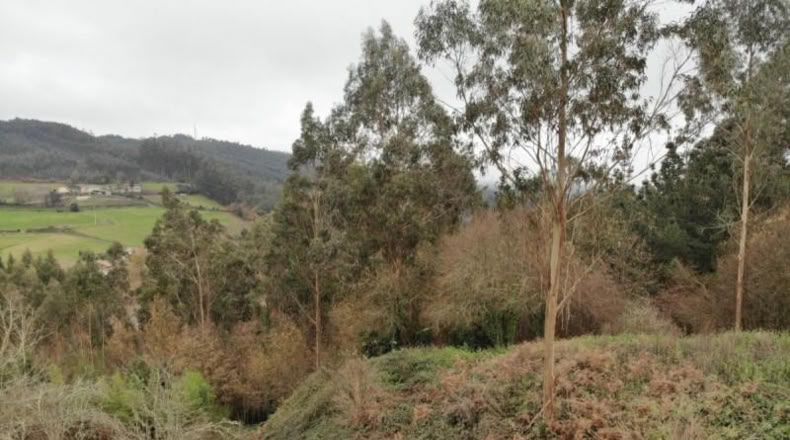 Valencia - Buñol - 4300m2