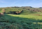 Parcel·la urbanitzable en venda a la España, Oria, ref.: TR396782 foto