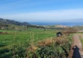 Parcel·la urbanitzable en venda a la España, Oria, ref.: TR396782 foto