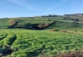 Parcel·la urbanitzable en venda a la España, Oria, ref.: TR396782 foto
