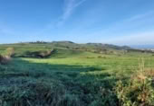 Parcel·la urbanitzable en venda a la España, Oria, ref.: TR396782 foto