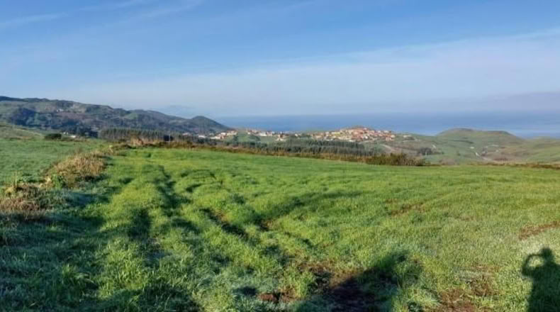 Cantabria - Suances - 6910m2